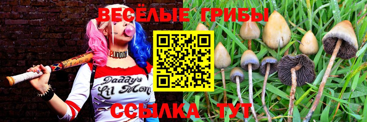 купить наркоту  Галлюциногенные грибы Psilocybe  Вход с VPN  Нефтеюганск 